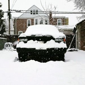 Meet your Posher, Joey